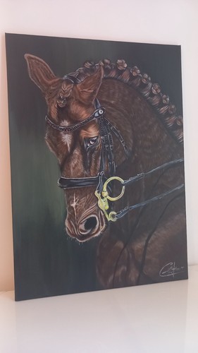 Magnifique tableau peinture - magnifique,